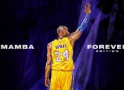 开云体育下载-从绿茵场到篮球馆，德国足球的坚韧翻盘与恩佐·费尔南德斯的生涯之夜