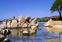 开云体育登录-帕尔默爆发引领日本关键战突围芬兰，亚洲足球新篇章的独特启示